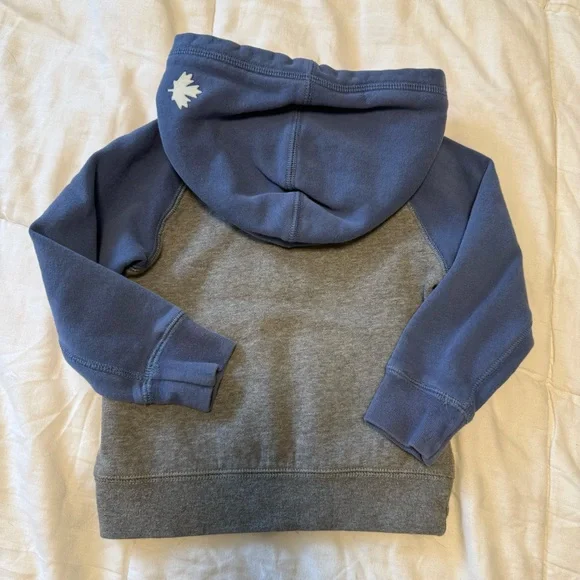 2T Roots Hoodie - Picture 3 of 3